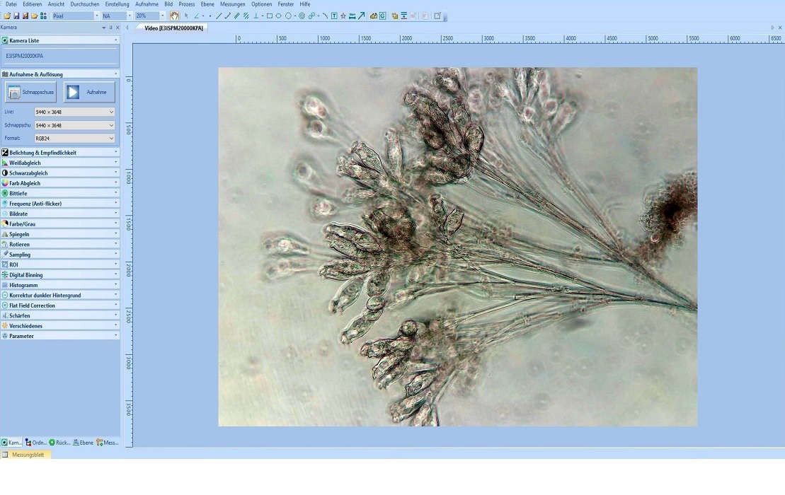 Kamery mikroskopowe i oprogramowanie